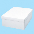 �V���W�} �����nBOX �J�o���� A 50�� 215�~275�~92mm