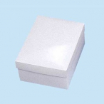 �V���W�} �G�X�v��BOX 100�� B-1 200�~260�~120mm
