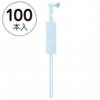 �F�� �V�p�X�o���h 100�{���� �u���[