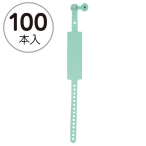 �F�� �V�p�X�o���h 100�{���� �O���[��