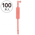 �F�� �V�p�X�o���h 100�{���� ���b�h