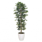�A�[�g�N���G�C�V���� �x���W���~���X����1.6