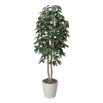 �A�[�g�N���G�C�V���� �p�L���c���[1.6 ���t