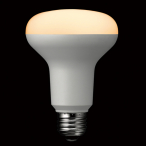 R80���t�`LED�d�� �����Ή� �d���F