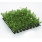 �吼���� �O���X�}�b�g 270mm �X�v�����O���C�t�����[