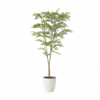 �A�[�g�N���G�C�V���� ���C�g�g�l���R1.6 ���t