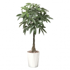 �A�[�g�N���G�C�V���� �p�L�� ���t �p�L��1.25 W650�~�c650mm