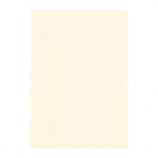�V���r ���j���[ ���� �m-21 B4