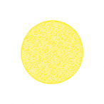 �V���r ���b�V���R�[�X�^�[ B220-7** #220 �C�G���[