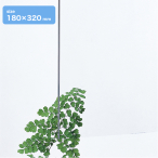�� �A�N������2mm�� 180�~320mm ����