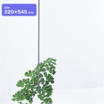 �� �A�N������2mm�� 320�~545mm ����