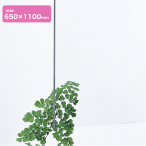 �� �A�N������2mm�� 650�~1100mm ����