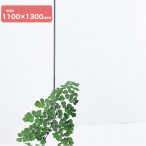 �� �A�N������2mm�� 1100�~1300mm ����
