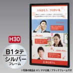 �t�@�[�X�g(�f�B�X�v���C) �v�����p�I�[�v���p�l��H30�c B1�V���o�[