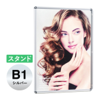 �V���G�C PG���C�gLED�X����32R �V���o�[SM �X�^���h B1