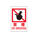 TCv[g ։ NO SMOKI