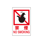�� �T�C���v���[�g HI500-13 �։� NO SMOKI