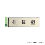 �� �T�C���v���[�g PL110-39 �В���