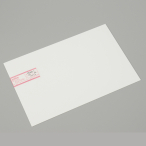 �� �|���G�`������ 300�~450mm �z���C�g