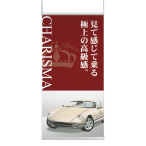 �x���N �A�����[�h �o�i�[�z���_�[ �݂艺���� 829 S W900