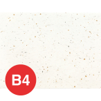 ������ OA �a�� ����_�� B4 OB-40 ��
