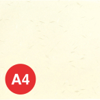 ������ OA �a�� ��T�� A4 10������ OA-42 �N���[��