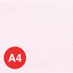������ OA �a�� ��T�� A4 10������ OA-42 �s���N