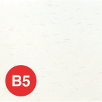 ������ OA �a�� ��T�� B5 10������ OB-52 ��