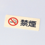 ������ �։��v���[�g IP-54W ����