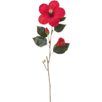 �吼���� �r�b�O�n�C�r�X�J�X ���b�h FLSP3753