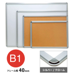 �v���`�i���N�M �A�P�p�l40mm �V���o�[/�N���[�� B1