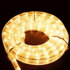 LED���[�v���C�g�S�[���h��13 �r�b�O���[��