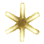 LED�N���X�^���O���[ �t���[�X�m�[ 5���� �S�[���h