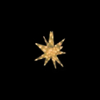 LED�Z�p���[�c�M�����N�V�[ �� �E�H�[���z���C�g4���H