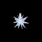 LED�Z�p���[�c�M�����N�V�[ �� �z���C�g6���H