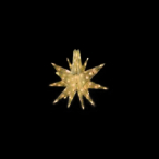 LED�Z�p���[�c�M�����N�V�[ �� �E�H�[���z���C�g6���H