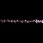 LED���e�I�X�^�[�X�g�����O �s���N
