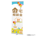 ���[�R�X�g���[���X�N���[��  600 RS27N �V���o�[
