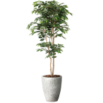 �i�`�������x���W���~��1.8 ���t