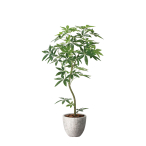 �i�`�������p�L��1.6 ���t