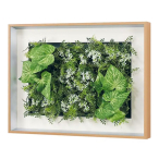 �O���[�����[�h (�x���N) �A�[�g�O���[�� GR3719