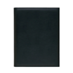 �V���r �C���t�H���[�V�����u�b�N�[101 B2266-01 ��