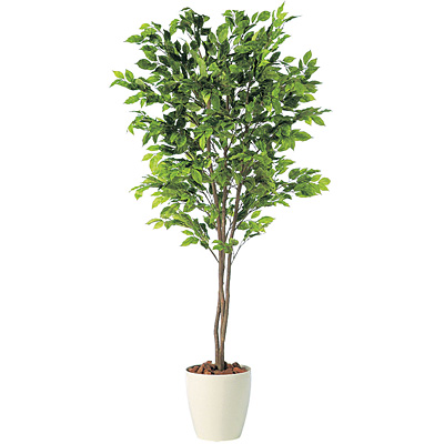 人工観葉植物 ベンシャミナスプラッシュトリプル 180 natural ポット