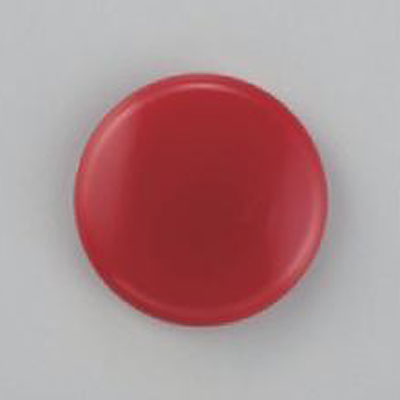 日本緑十字社 丸形カラーマグネット 20mmφ 10個1セット 312072 赤