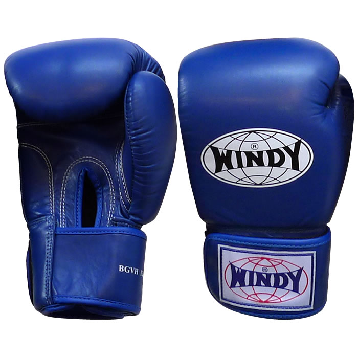 【美品】WINDY TBG2 XS 総合グローブ ブルー 楽天市場】【日本総代理店】WINDY(ウィンディ)TBG-2/TBG-4 パンチング