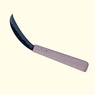 �o�i�i�؂���� 12cm 19171