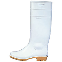 �A�L���X ���[�N�}�X�^�[�V���[�Y �� �ϖ��� 24.5cm