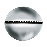 金工 目貫 前金具 在銘 ムカデ 金工 目貫 前金具 在銘 ムカデ