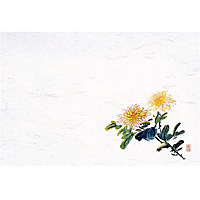 ��3 �l�G�� ��� 100������ M30-294 �e