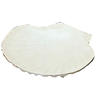 �A���~ �z�^�e�L�M 150�~145�~H25mm ��